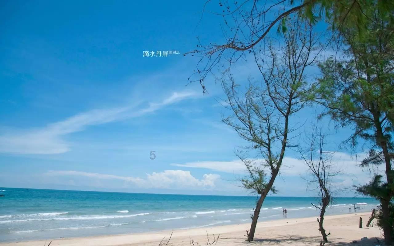 如果特朗普重新当选美国总统,中方是否担心美对华政策变化?外交部回应