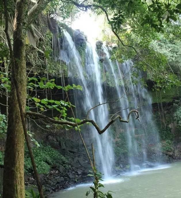 全疆首台加油机器人在库尔勒上岗