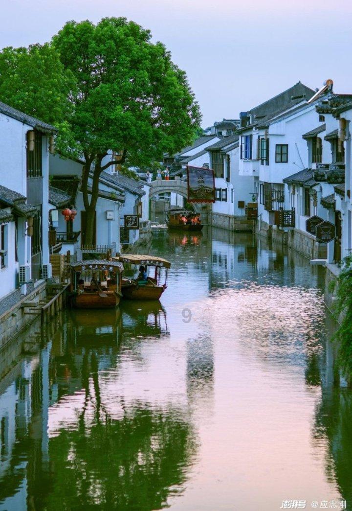 小锯鳄卡丁车竞赛